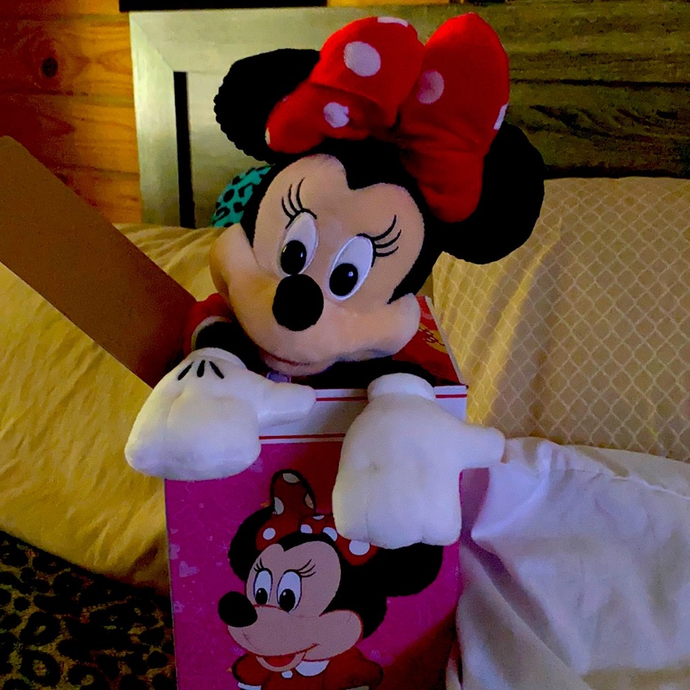 Who loves minni mouse
